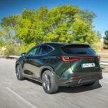 Lexus NX 450h+ (Verde oliva) - Miniatura 19