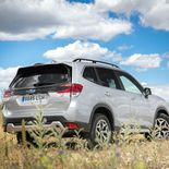 Subaru Forester Eco Hybrid - Miniatura 18