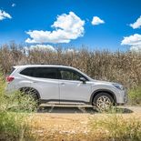 Subaru Forester Eco Hybrid - Miniatura 20