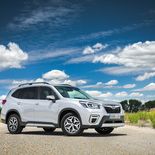 Subaru Forester Eco Hybrid - Miniatura 7