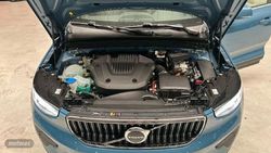 Volvo XC40 Recharge Plus, T4 plug-in hybrid, Eléctrico/Gasolina, Bright - Miniatura 38