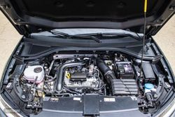 Volkswagen T-Roc Life 1.0 TSI 85 kW - Miniatura 21