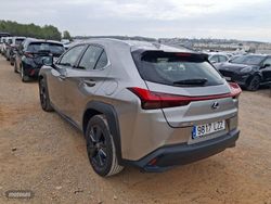 Lexus UX 250h UX 2.0 250h Business - Miniatura 6