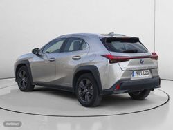 Lexus UX 250h Business 2WD 135 kW (184 CV) - Miniatura 5