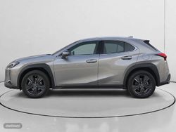 Lexus UX 250h Business 2WD 135 kW (184 CV) - Miniatura 6