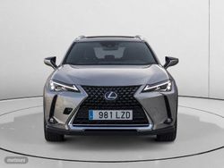 Lexus UX 250h Business 2WD 135 kW (184 CV) - Miniatura 7
