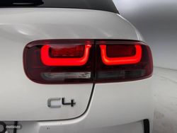 Citroen C4 Cactus PureTech 110 S&S Shine Pack - Miniatura 28
