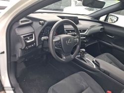 Lexus UX 2.0 250h Business - Miniatura 7
