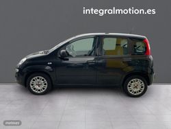 Fiat Panda Hybrid 1.0 51kw (70CV) - Miniatura 24