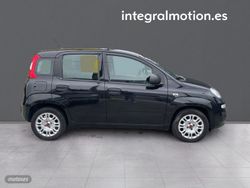 Fiat Panda Hybrid 1.0 51kw (70CV) - Miniatura 26