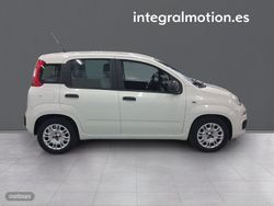 Fiat Panda Hybrid 1.0 Gse 51kw (70CV) - Miniatura 26