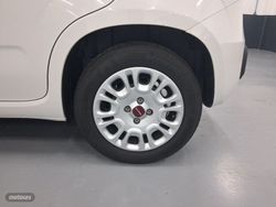 Fiat Panda Hybrid 1.0 Gse 51kw (70CV) - Miniatura 29