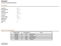 Peugeot Rifter Active Pack Business Standard BlueHDi 73 kW (100 CV) - Miniatura 17