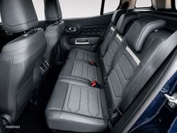 Citroen C5 Aircross PureTech 130 S&S Plus 96 kW (131 CV) - Miniatura 14