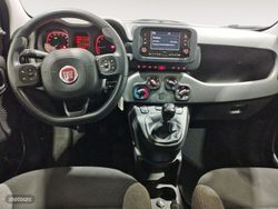 Fiat Panda 1.0 Mild Hybrid City Cross 4x2 - Miniatura 6