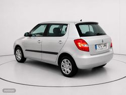 Skoda Fabia 1.6 TDI Young 66 kW (90 CV) - Miniatura 4