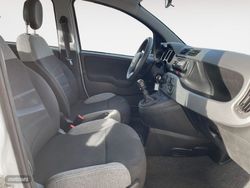Fiat Panda 1.0 Mild Hybrid City Cross 4x2 - Miniatura 10