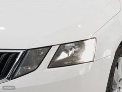 Skoda Octavia 1.6 TDI Ambition 85 kW (116 CV) - Miniatura 25