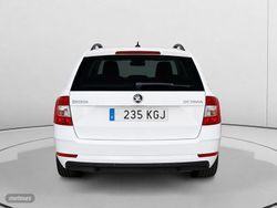 Skoda Octavia 1.6 TDI Ambition 85 kW (116 CV) - Miniatura 4