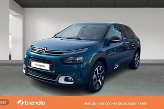 Citroen C4 Cactus 1.5 BLUEHDI 74KW LIVE 99 5P - Foto 1