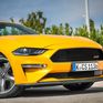 Ford Mustang - Miniatura 4